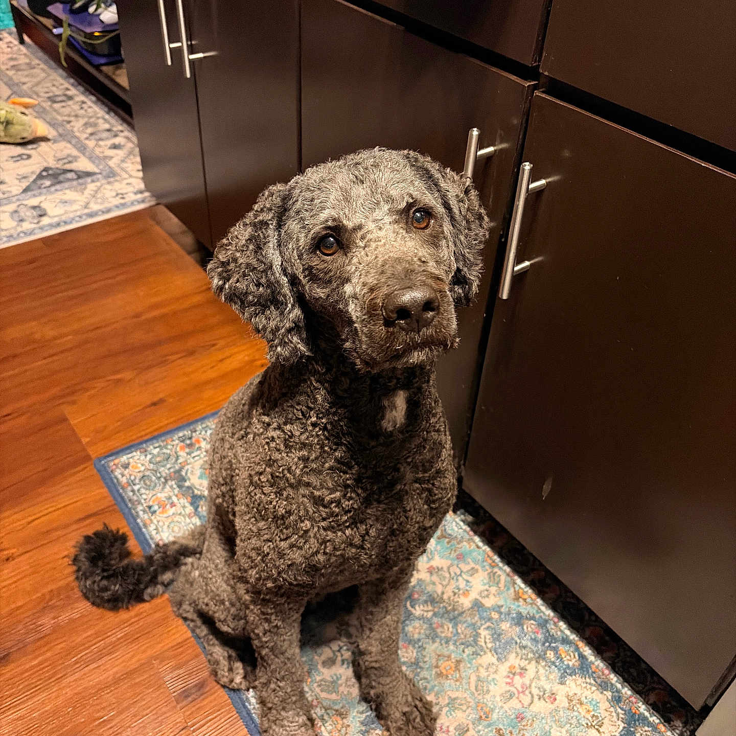 Odin