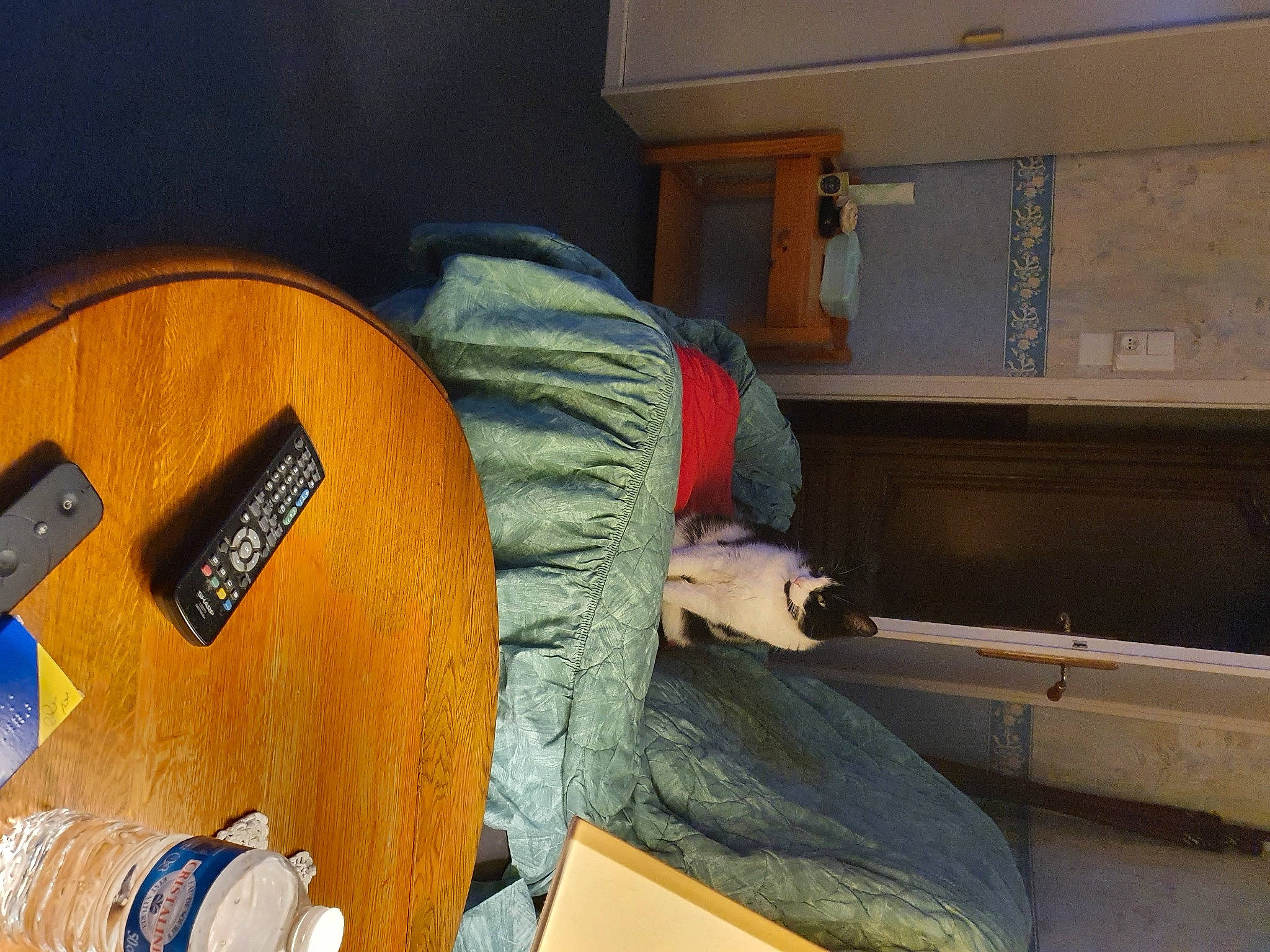 Jade participe au concours pour gagner de l'argent avec cette photo : comfort, plastic_bottle, varnish, wood_stain