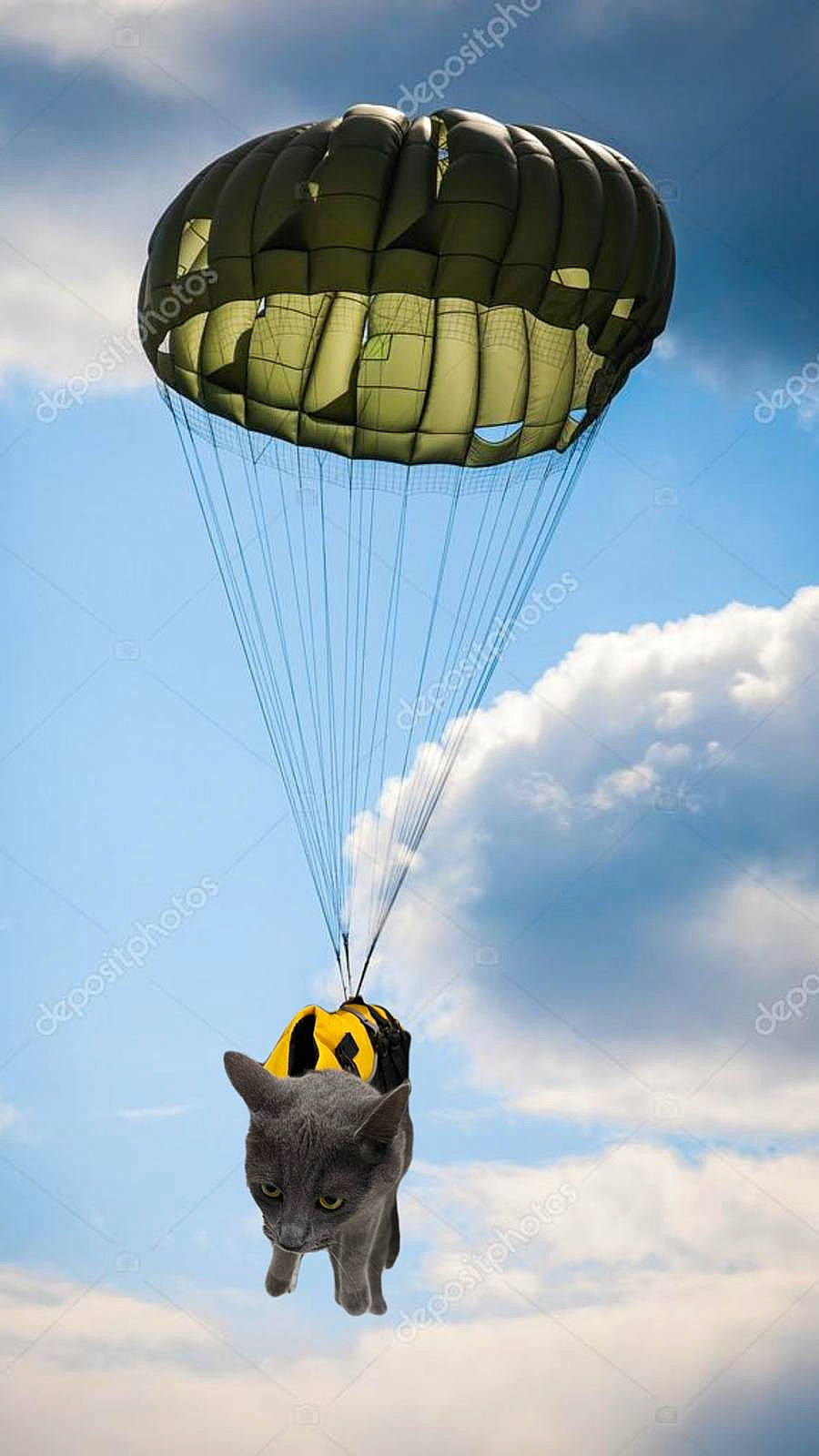 Roomie a rejoint le concours — aidez-le/la à gagner de superbes lots ! air_sports, air_travel, balloon, cloud, daytime, extreme_sport, fun, headgear, landscape, leisure, parachute, parachuting, paragliding, recreation, sky, sports, travel, tree, wind, windsports