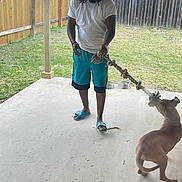 Fendi joined the competition — help win amazing prizes! man, dog, playing, rope_toy, backyard, grass, fence, patio, casual_clothing, outdoor, summer, fun, pet, leisure, footwear, slippers, shorts, white_tshirt, brown_dog, interaction