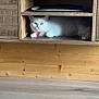 cat, white_cat, red_collar, wooden_shelf, furniture, floor, indoor, pet, animal, resting, curious, cozy, cubby, wood, domestic_cat, cute, relaxed, household, mammal, portrait