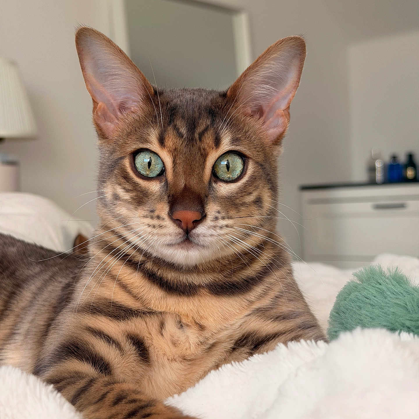 Luna