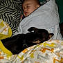 animal, baby, bed, blanket, child, closeup, comfort, cozy, cute, dog, fur, indoor, nap, peaceful, pet, rest, sleeping, snuggle, together, warm