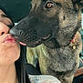 dog, person, kiss, tongue, close_up, pet, car_interior, seat, collar, lace, human_face, dog_face, muzzle, brown_coat, eye_contact, affection, portrait, vehicle, nose, seatbelt_area