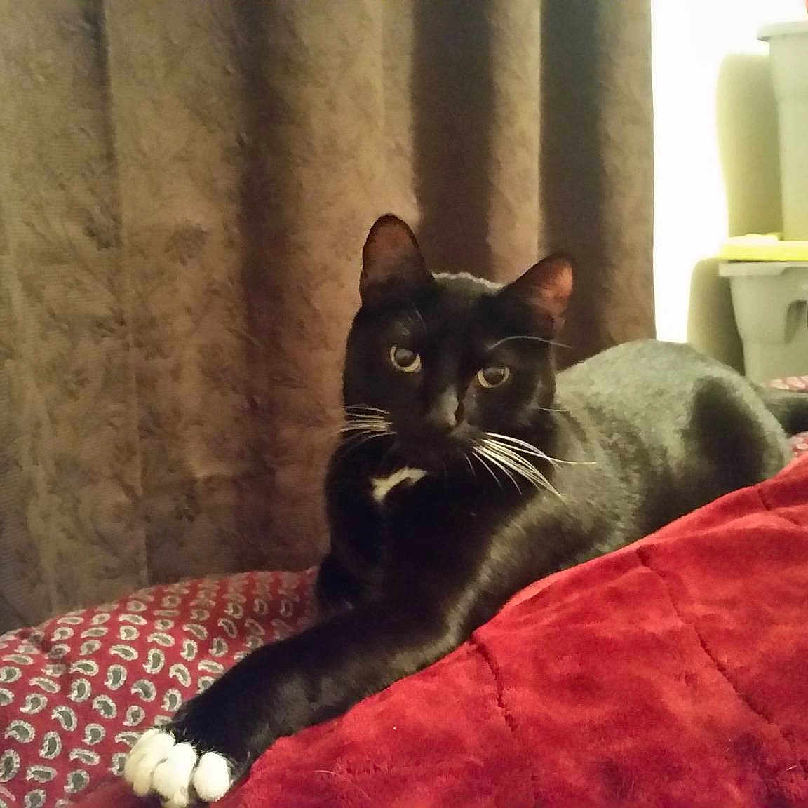 Peeka