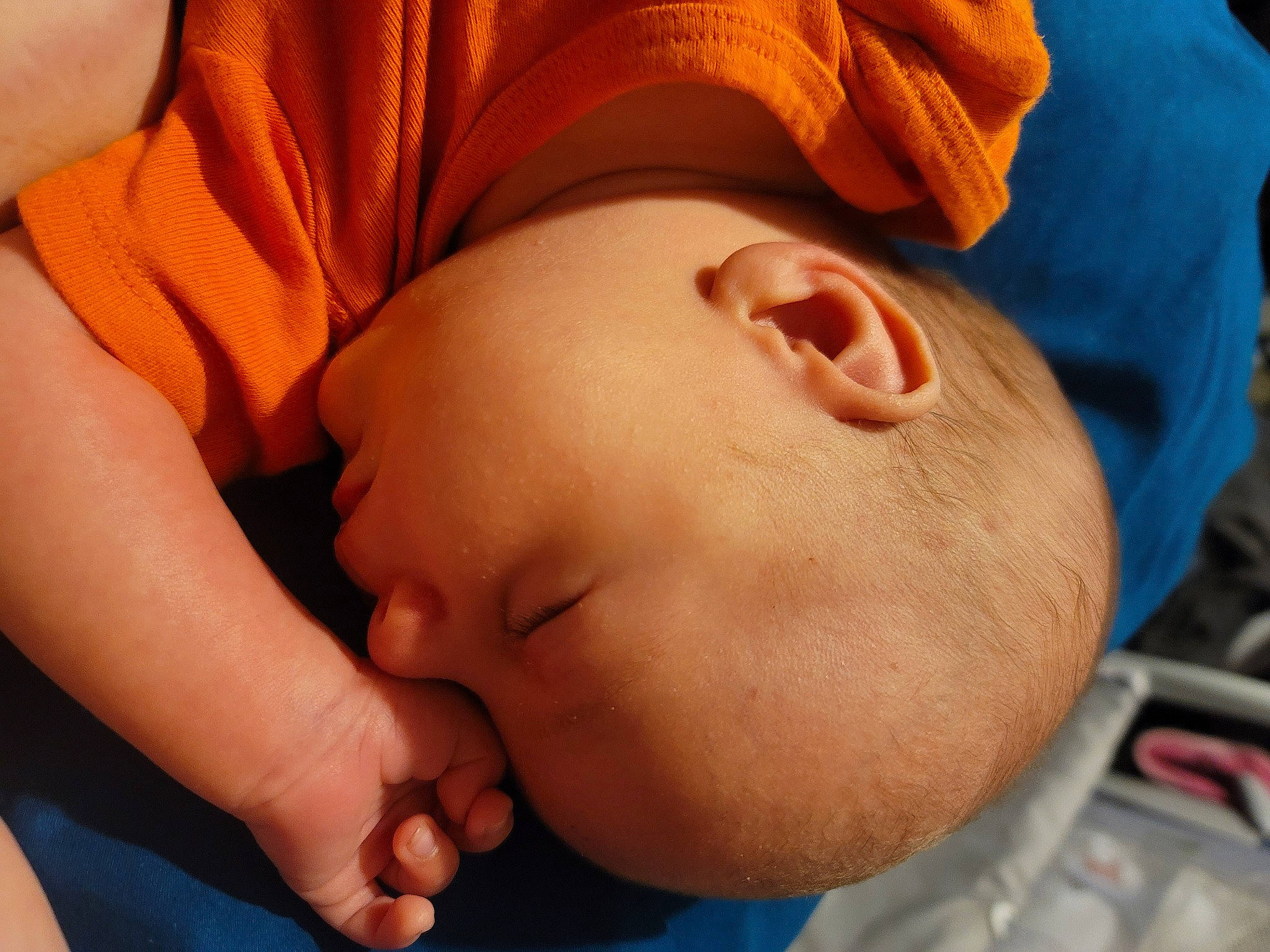 Bjorn joined the competition — help win amazing prizes! arm, baby, baby_sleeping, cheek, comfort, eye, eyebrow, eyelash, finger, fun, gesture, hand, happy, human_body, iris, mouth, nose, orange, person, skin