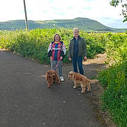 Daphne is registered to the contest to win money with this photo: casual_clothing, cloudy_sky, daylight, dog, field, friendship, grass, greenery, hill, leash, nature, outdoor, path, pets, relaxation, road, smiling, trees, walking, woman