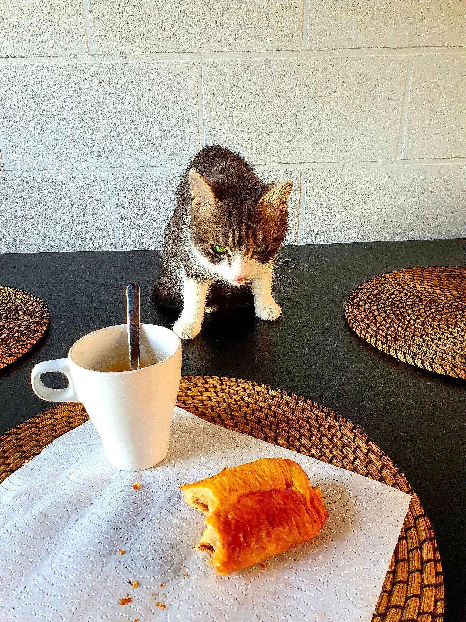 Chicha participe au concours pour gagner de l'argent avec cette photo : carnivore, cat, cat_supply, comfort, cuisine, cup, dishware, drinkware, felidae, food, ingredient, plate, serveware, small_to_medium_sized_cats, table, tablecloth, tableware, textile, whiskers, wood