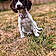 Tilly