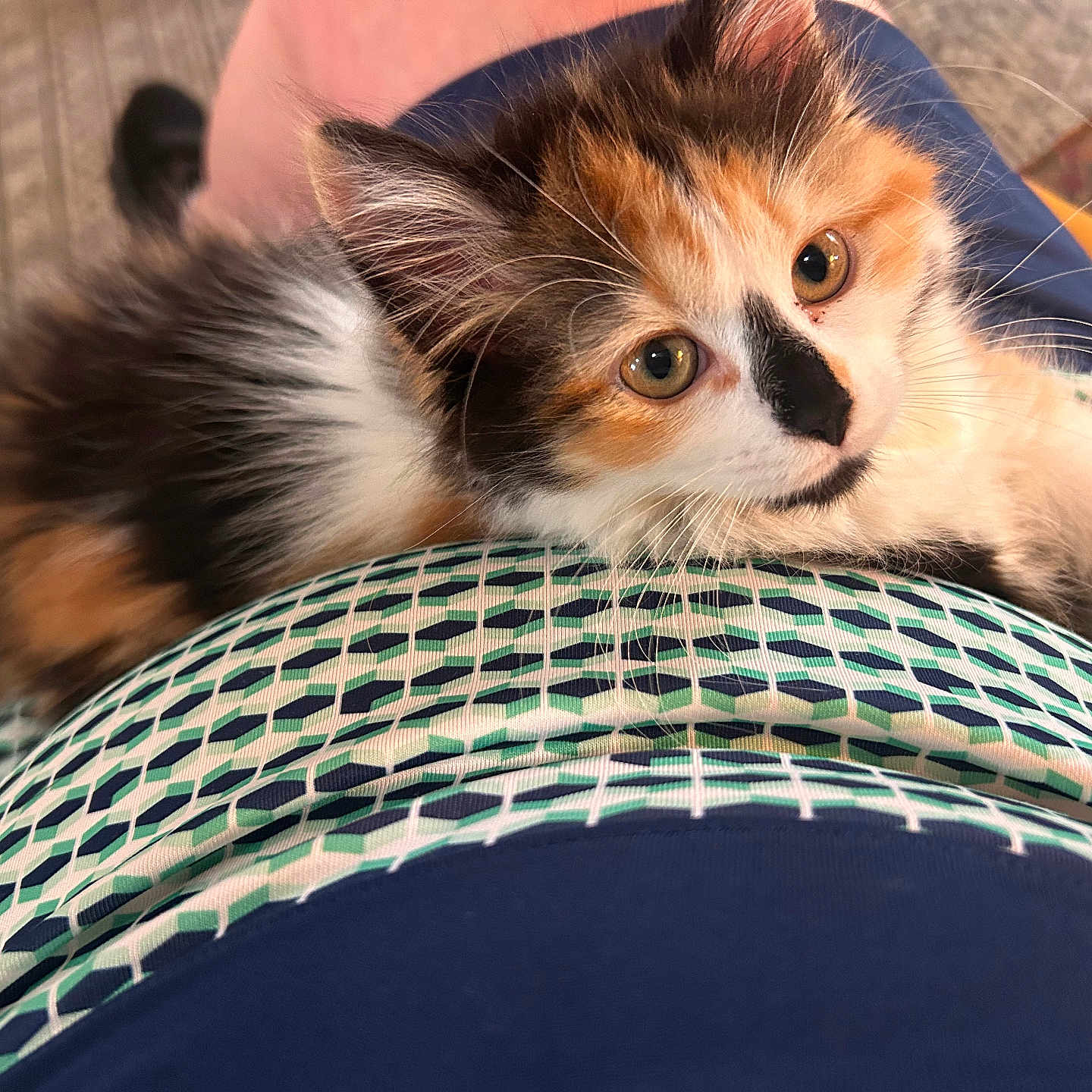 Ember