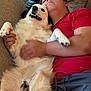 Maddie joined the competition — help win amazing prizes! person, dog, couch, hug, cuddling, red_shirt, white_dog, fluffy, smiling_dog, relaxed, indoor, lamp, furniture, portrait, affection, happy, resting, home, casual, comfort
