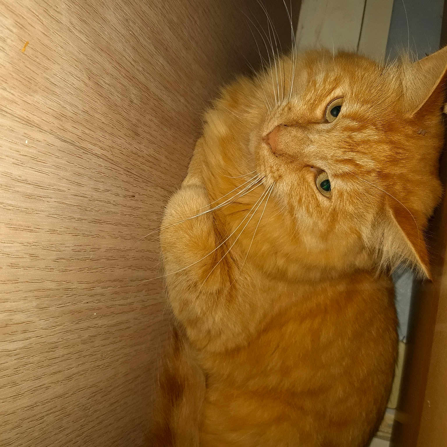 Caramel
