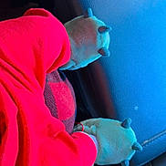 Yoseph joined the competition — help win amazing prizes! animal_slippers, blue_background, bundled_up, car, car_seat, casual, child, cozy, fuzzy_slippers, hooded_outfit, indoor, leather_seat, portrait, red_clothing, seated, small_person, toddler, travel, vehicle_interior, winter_clothing