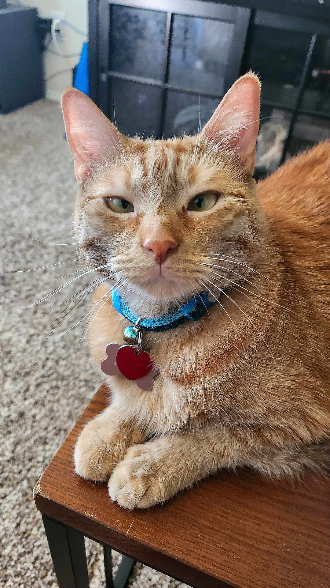 Kira