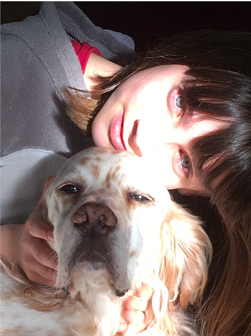 Fakir a rejoint le concours — aidez-le/la à gagner de superbes lots ! carnivore, companion_dog, dog, dog_breed, ear, eye, fawn, flash_photography, fur, happy, jaw, liver, nose, selfie, smile, snout, sporting_group, whiskers, working_animal, wrinkle