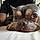 Astro