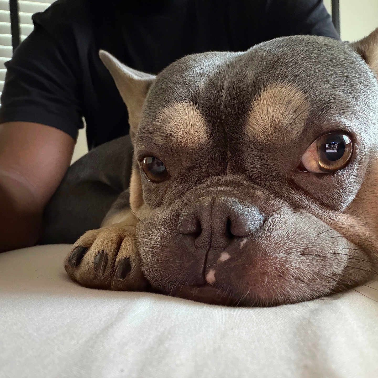 Astro