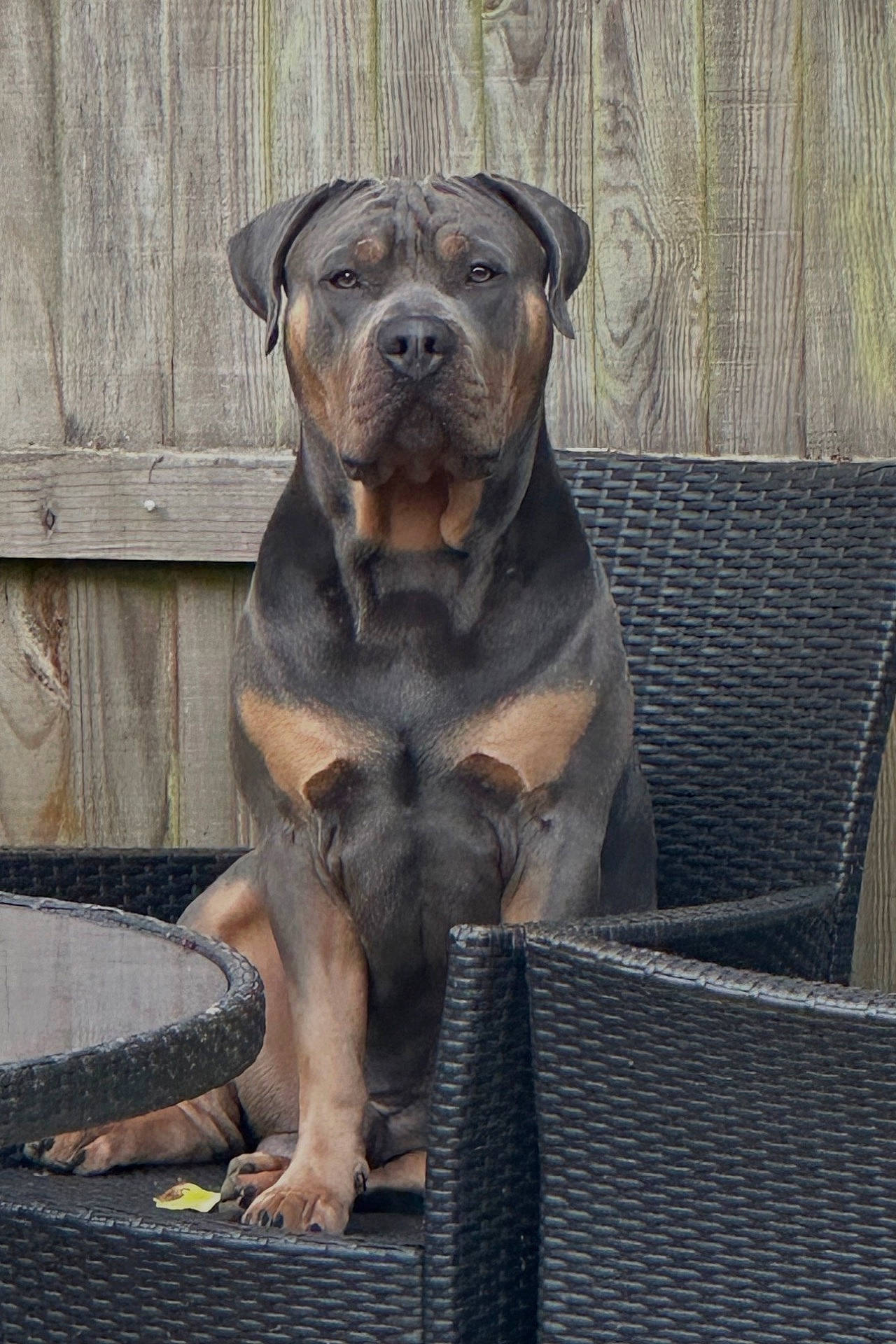 Milo
