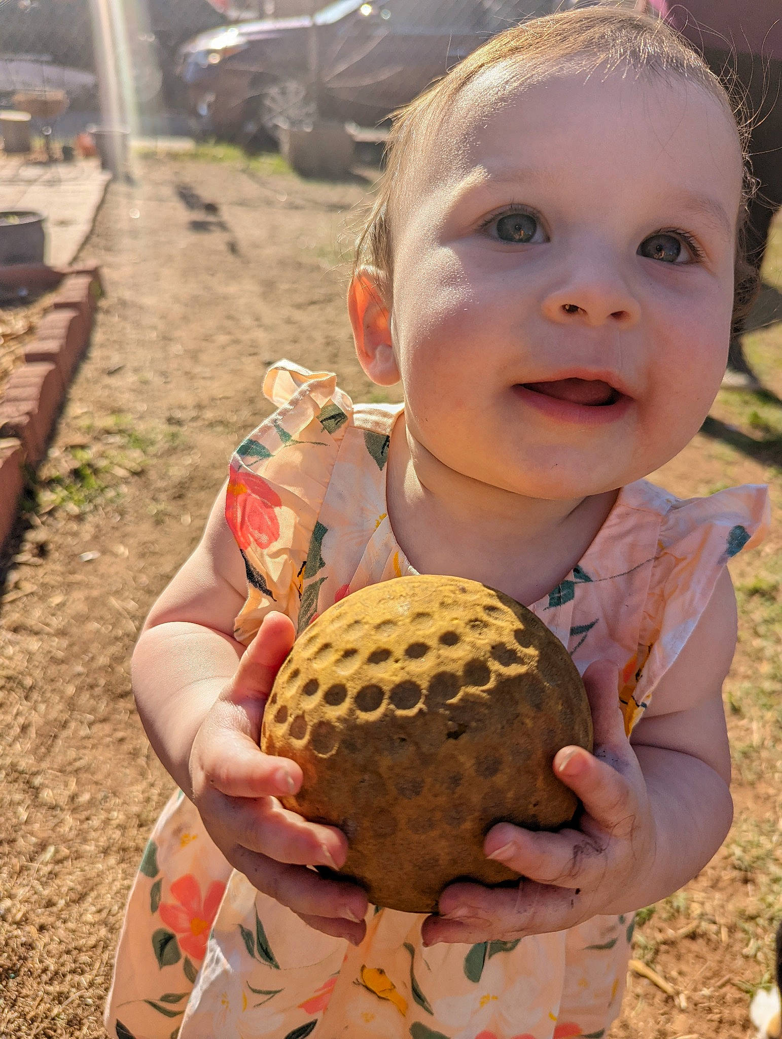 Allicynn is registered to the contest to win money with this photo: acorn, adaptation, baby_toddler_clothing, ball, child, coconut, glove, grass, happy, natural_foods, nut, palm_tree, people_in_nature, person, plant, smile, soil, sports_equipment, thumb, toddler