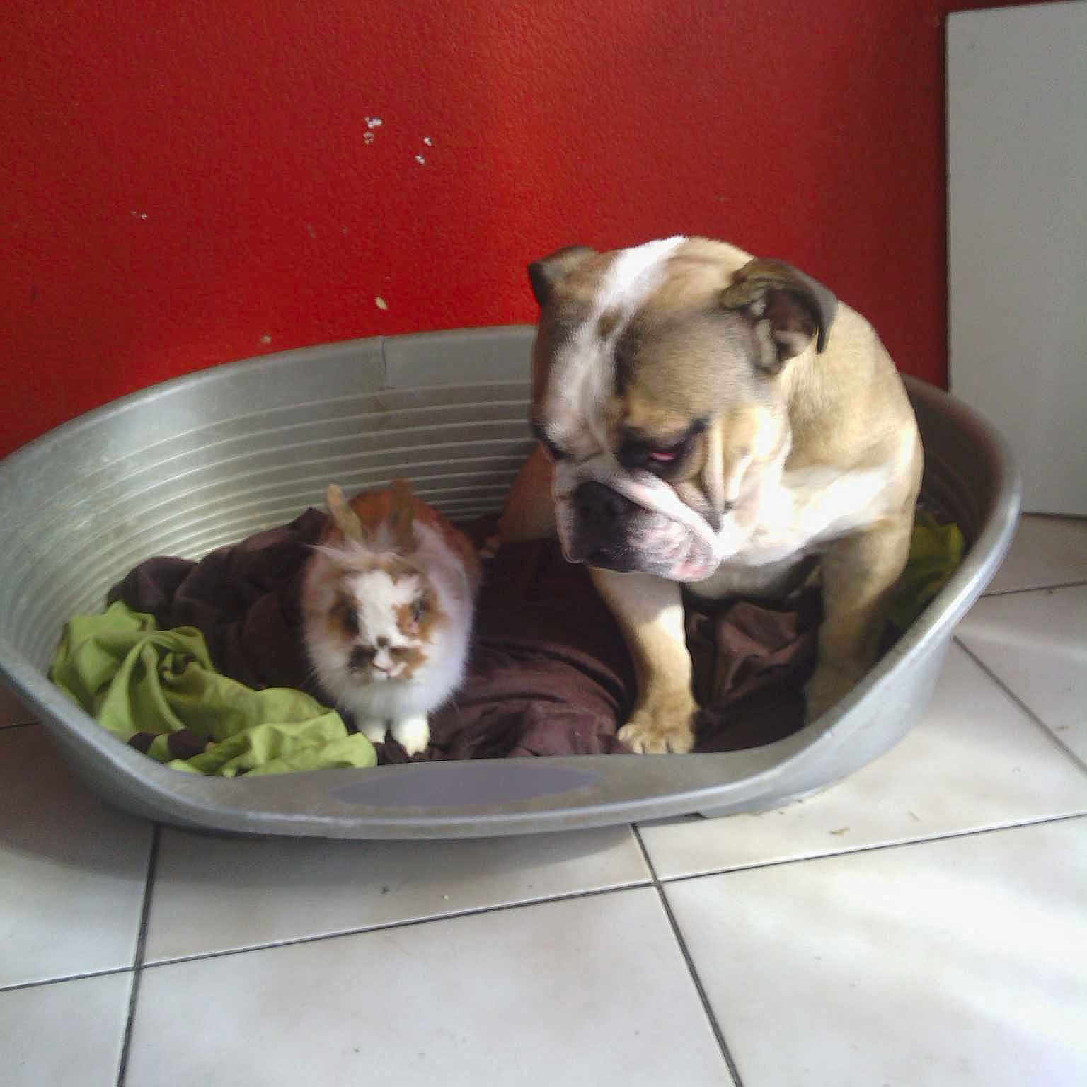 Eros participe au concours pour gagner de l'argent avec cette photo :