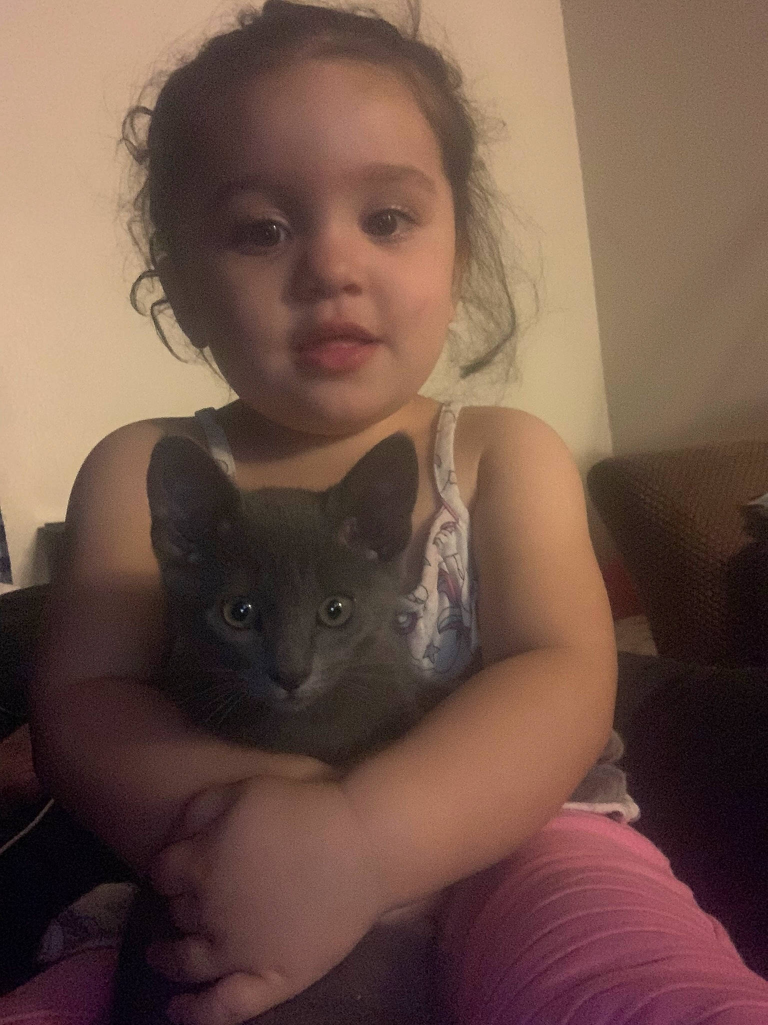 Celeste joined the competition — help win amazing prizes! carnivore, cat, comfort, ear, eye, eyelash, fawn, felidae, flash_photography, gesture, hair, happy, head, iris, mammal, neck, person, shoulder, skin, small_to_medium_sized_cats