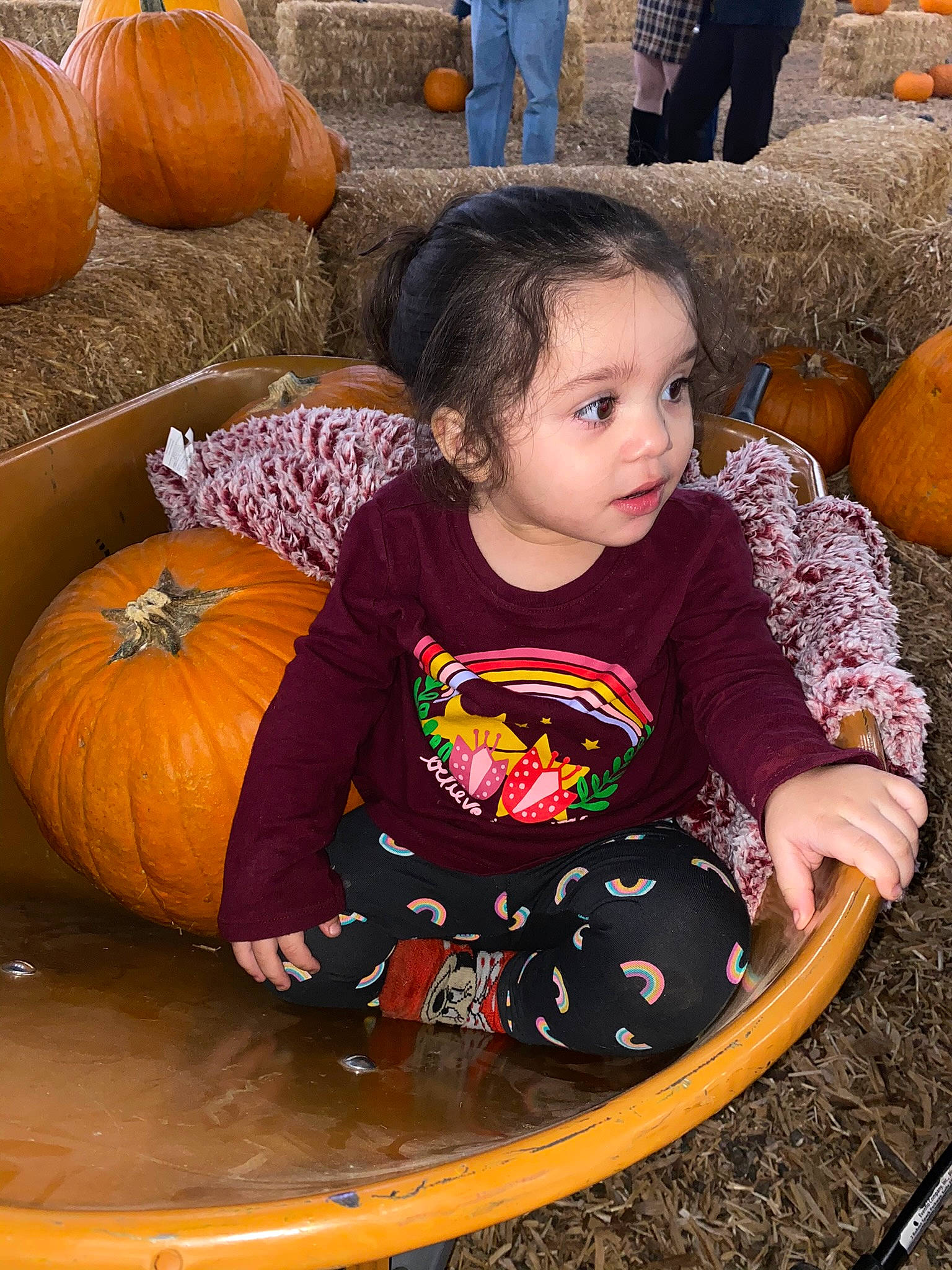 Celeste is registered to the contest to win money with this photo: calabaza, cucurbita, facial_expression, fun, gourd, happy, human_body, natural_foods, orange, people, person, photograph, plant, pumpkin, snapshot, squash, toddler, vegetable, whole_food, winter_squash