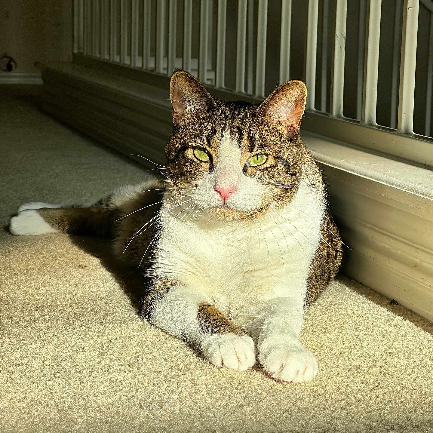 Leo