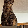 Pepper is registered to the contest to win money with this photo: cat, tabby, pet, animal, indoor, kitchen, appliance, curious, feline, mammal, whiskers, ears, fur, striped, domestic, looking_down, close_up, portrait, sitting, household