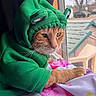cat, orange_cat, pet, hoodie, green_clothing, costume, funny, grumpy, face, whiskers, eyes, indoors, window, blanket, colorful, cartoon, hearts, lounging, portrait, daylight