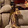 kitten, tabby, cat, gray_couch, living_room, furniture, computer, desk, lamp, curious, pet, indoor, striped, small, cozy, home, animal, feline, carpet, decor
