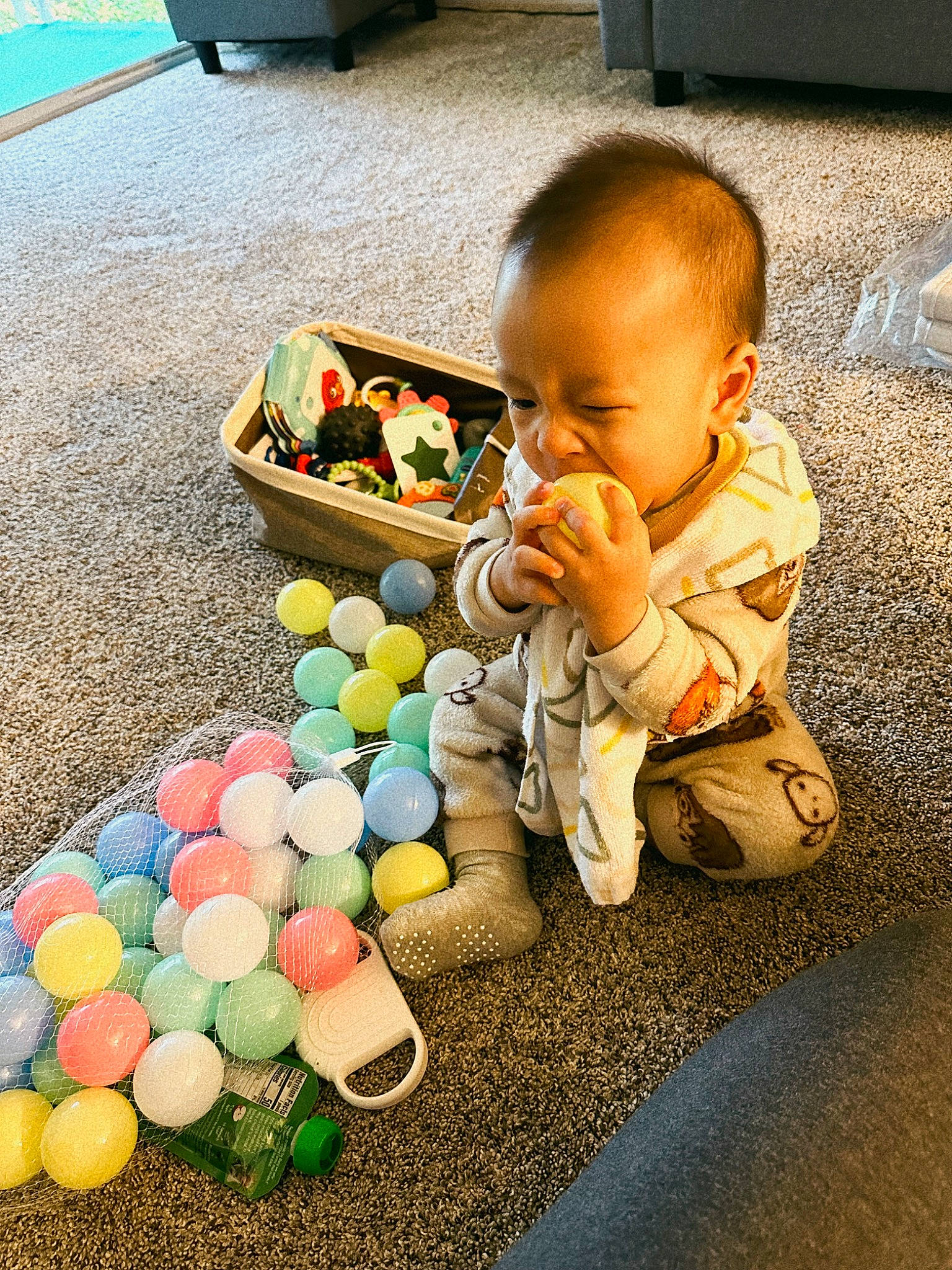 Cyrus joined the competition — help win amazing prizes! baby, baby_products, baby_toddler_clothing, balloon, child, easter, event, flooring, fun, grass, happy, leisure, party_supply, person, play, recreation, sitting, sweetness, tire, toddler