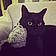 Babou
