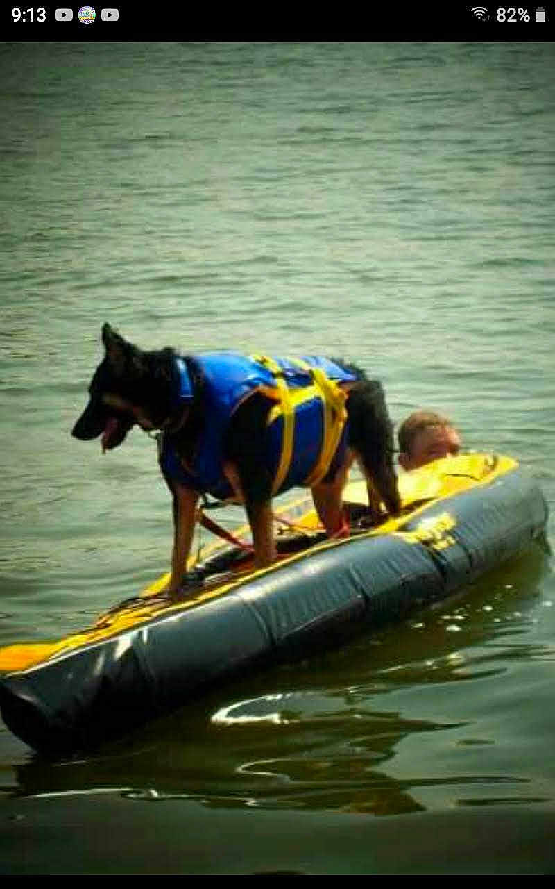 Heidi joined the competition — help win amazing prizes! dog, life_jacket, water, raft, person, floating, lake, outdoor, animal, swimming, adventure, recreation, summer, pet, canine, activity, life_saving, fun, water_sport, animal_companion