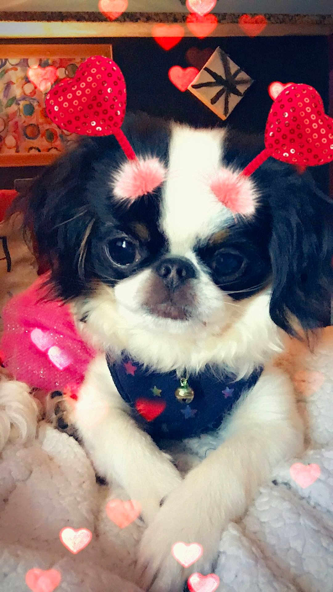 Lil Miss