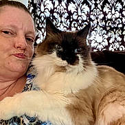 Charlie joined the competition — help win amazing prizes! animal, blue_eyes, casual_clothing, cat, closeup, curtain, face, feline, fluffy_cat, fur, home, indoor, patterned_background, person, pet, portrait, puckered_lips, relaxed, selfie, whiskers