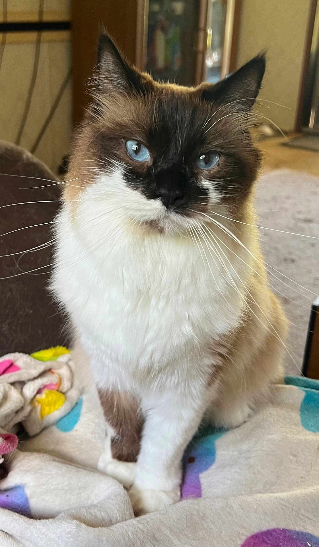 Charlie