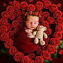 Heaven joined the competition — help win amazing prizes! baby, sleeping, red_roses, heart_shape, flower_crown, teddy_bear, blanket, newborn, cute, peaceful, portrait, floral_arrangement, soft_toy, infant, wrapped, green_leaves, closeup, adorable, cozy, resting