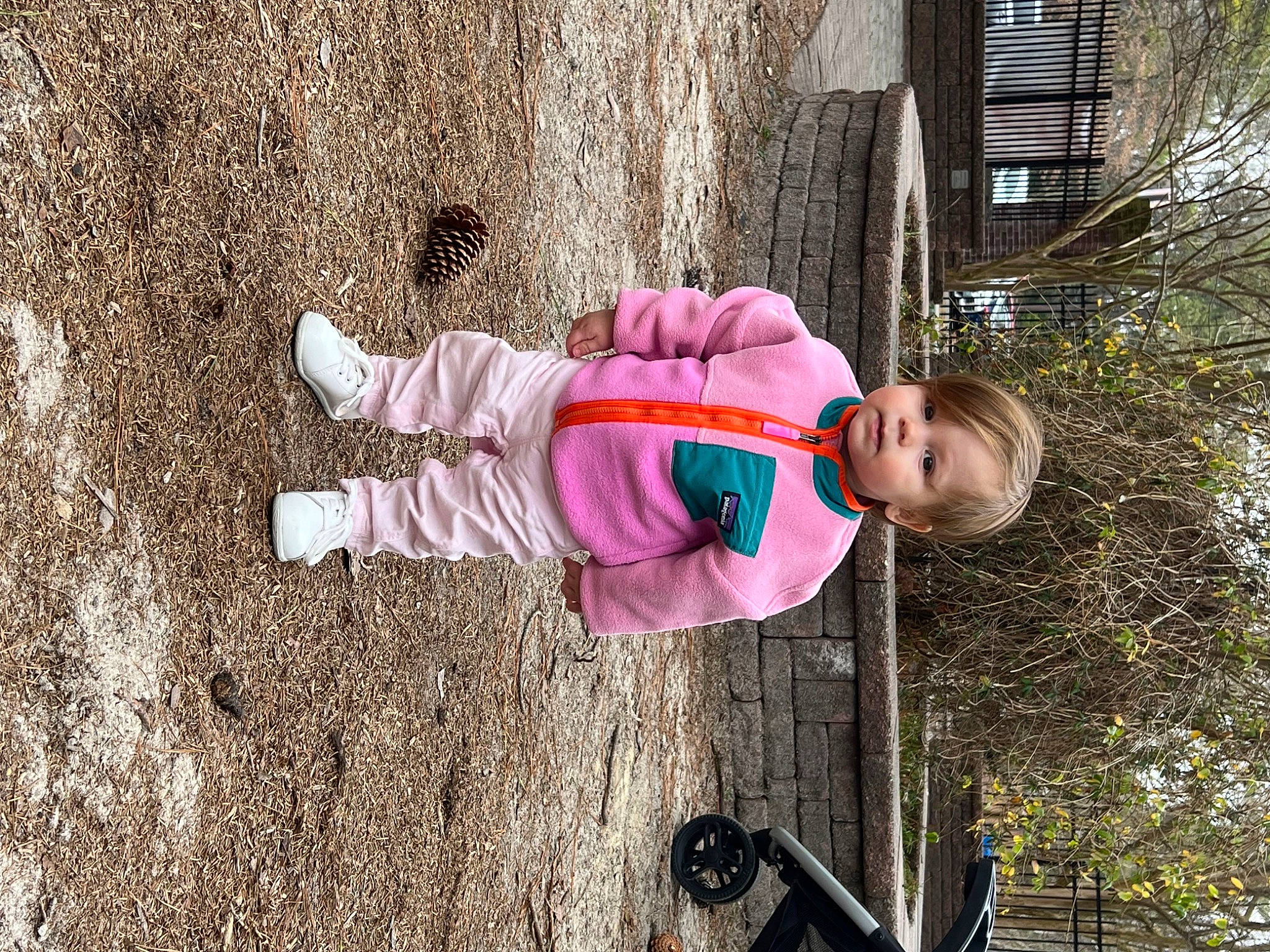 Laney joined the competition — help win amazing prizes! baby, baby_toddler_clothing, child, concrete, fun, grass, leaf, leisure, magenta, people_in_nature, person, plant, play, shadow, soil, spring, toddler, tree, walking_shoe, wood