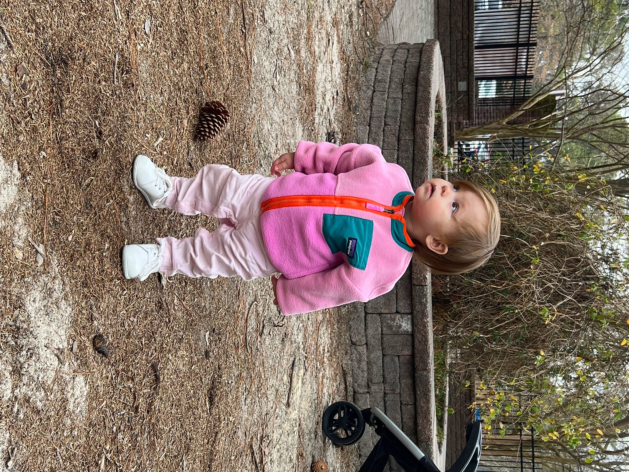 Laney joined the competition — help win amazing prizes! baby_toddler_clothing, child, concrete, fun, grass, hat, human_settlement, leaf, leisure, magenta, person, plant, shadow, soil, toddler, tree, vertebrate, walking_shoe, window, wood