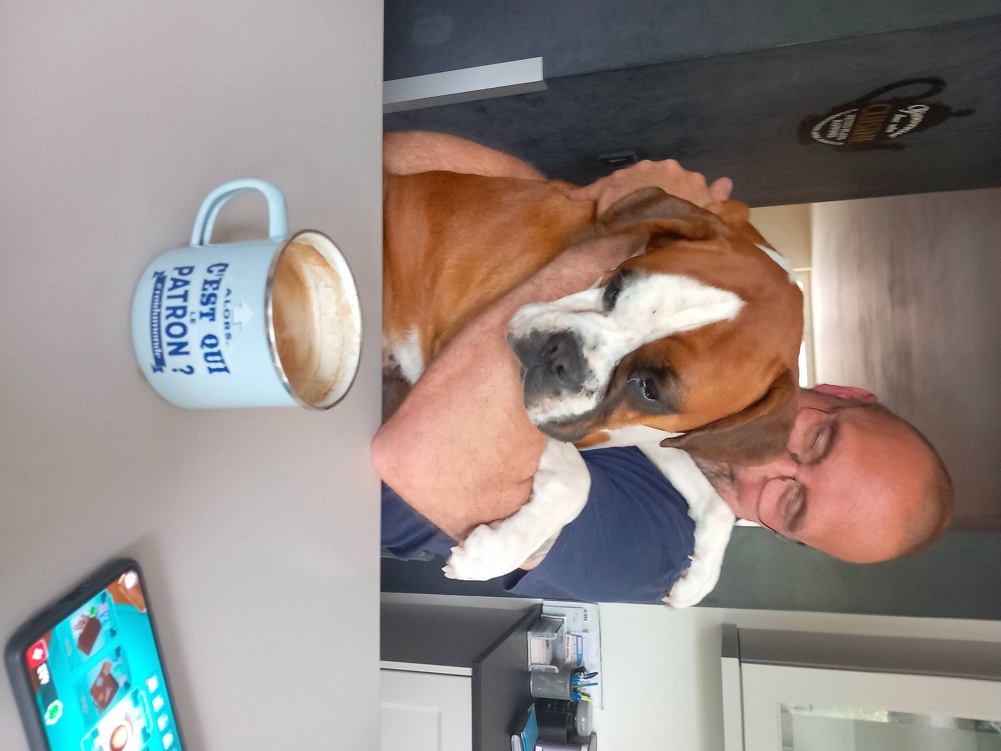 Nougatine participe au concours pour gagner de l'argent avec cette photo : carnivore, comfort, communication_device, companion_dog, computer, display_device, dog, dog_breed, fur, gadget, laptop, mobile_device, multimedia, nap, office_supplies, output_device, personal_computer, portable_communications_device, room, tablet_computer