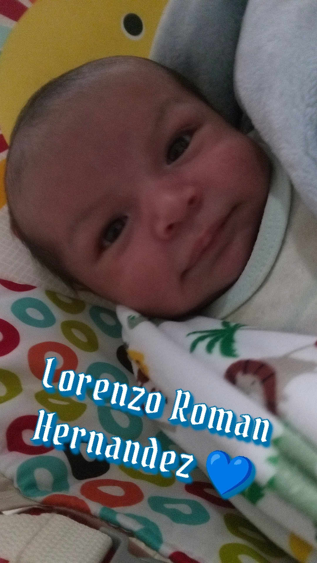 Lorenzo