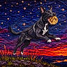 artistic, black_dog, colorful, dog, fantasy, glowing_object, grass, illustration, landscape, leaping, moon, nature, night_sky, playful, rocks, sky, stars, sunset, surreal, swirling