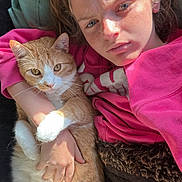 Cheese joined the competition — help win amazing prizes! person, cat, orange_cat, white_cat, pink_sweatshirt, hair, face, hand, fur, indoor, blanket, couch, light, shadow, relaxing, pet, animal, comfort, closeup, portrait