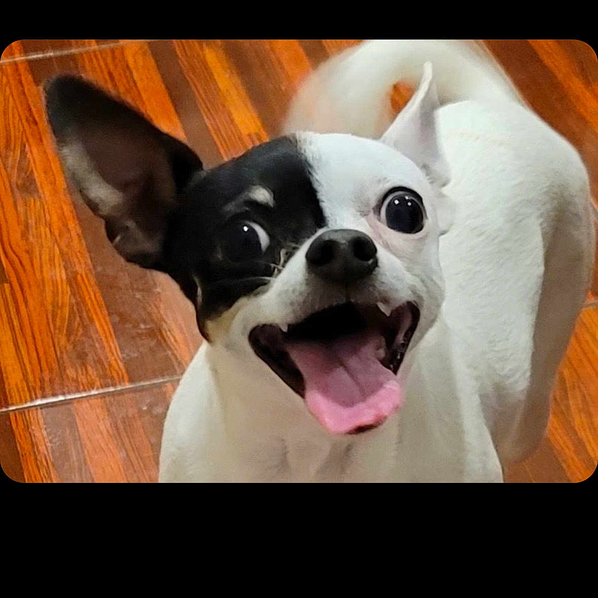 Dez