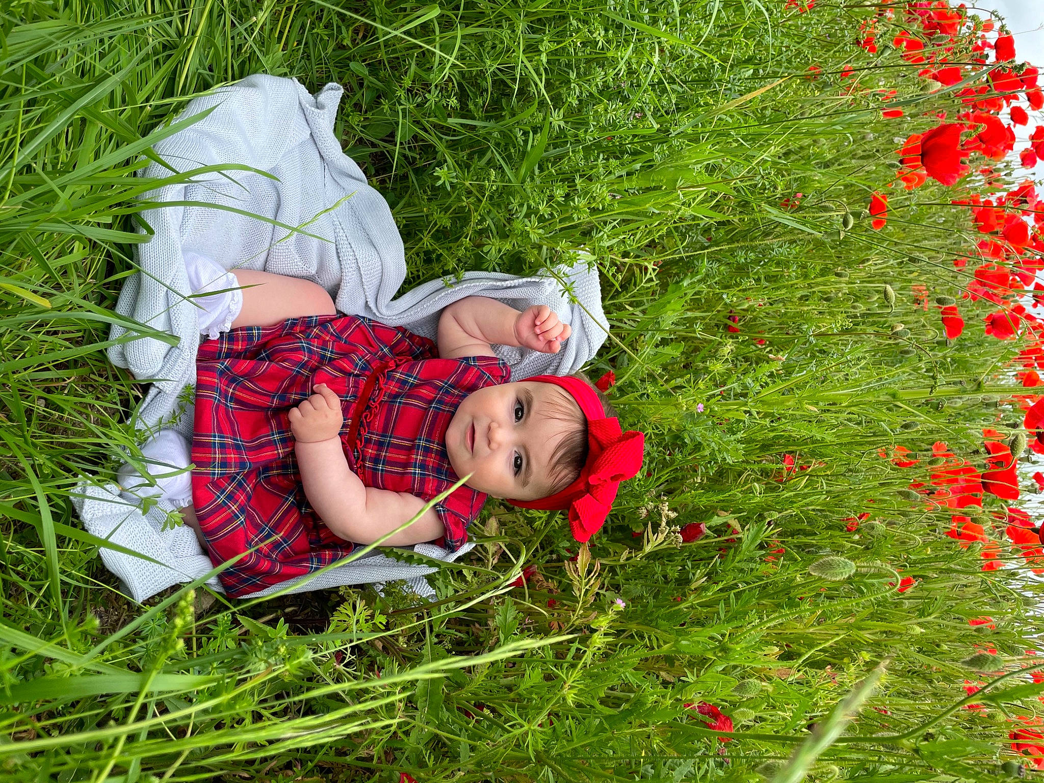 Anastasia a rejoint le concours — aidez-le/la à gagner de superbes lots ! annual_plant, baby_toddler_clothing, botany, child, flower, grass, grass_family, grassland, groundcover, happy, hat, lawn, leaf, meadow, people_in_nature, person, petal, plant, prairie, rose_family