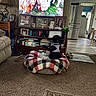 dog, pet, blanket, dog_bed, television, living_room, carpet, furniture, photo_frames, books, lamp, kitchen, floor, water_bottle, clock, food_bowls, remote_control, harness, indoor, decor