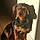 Sawyer