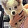 Alfy