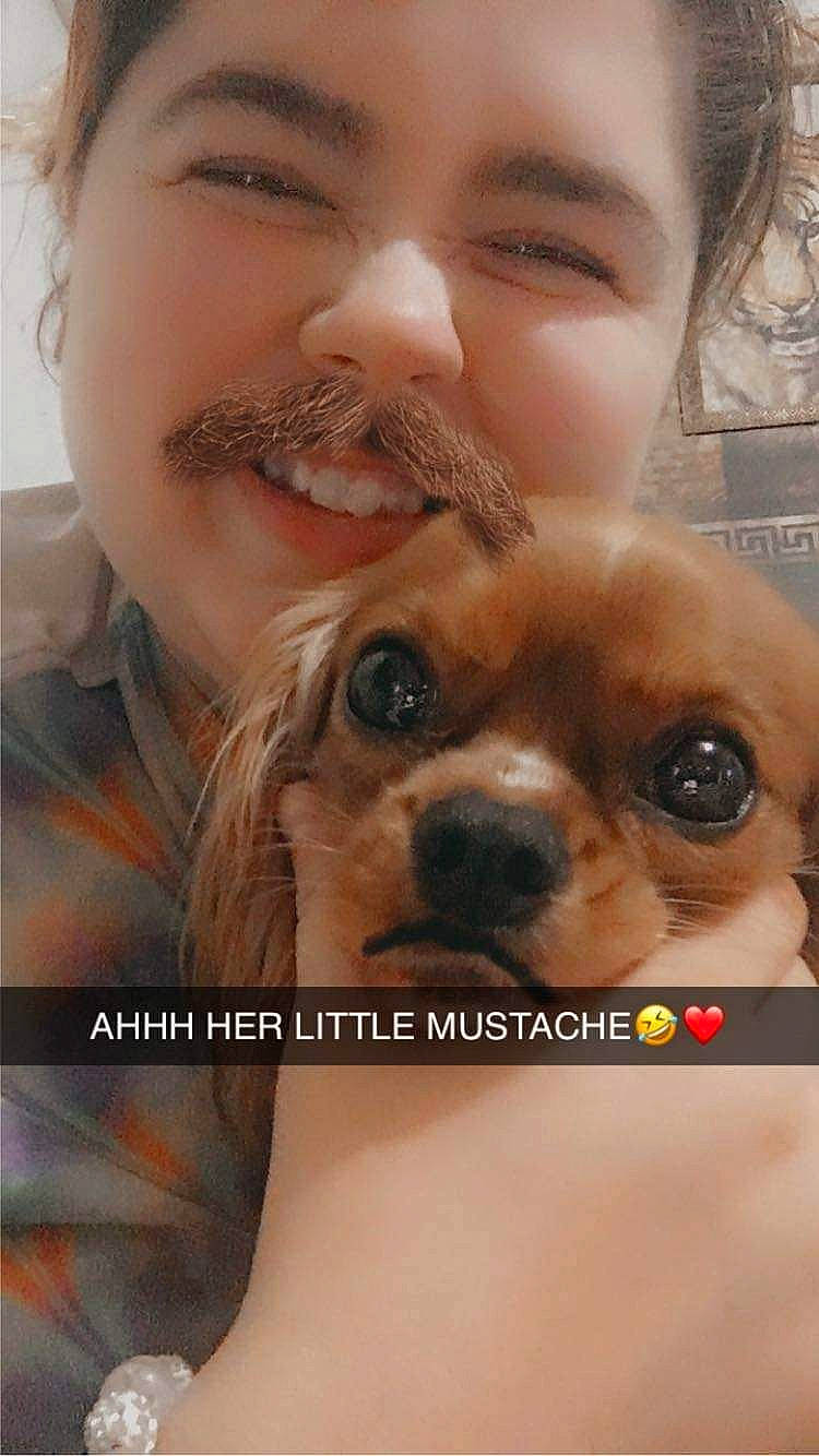 Kiwi joined the competition — help win amazing prizes! carnivore, companion_dog, cool, dog, dog_breed, ear, eyelash, fawn, gesture, glasses, happy, iris, liver, mouth, nose, organ, skin, smile, vertebrate, working_animal