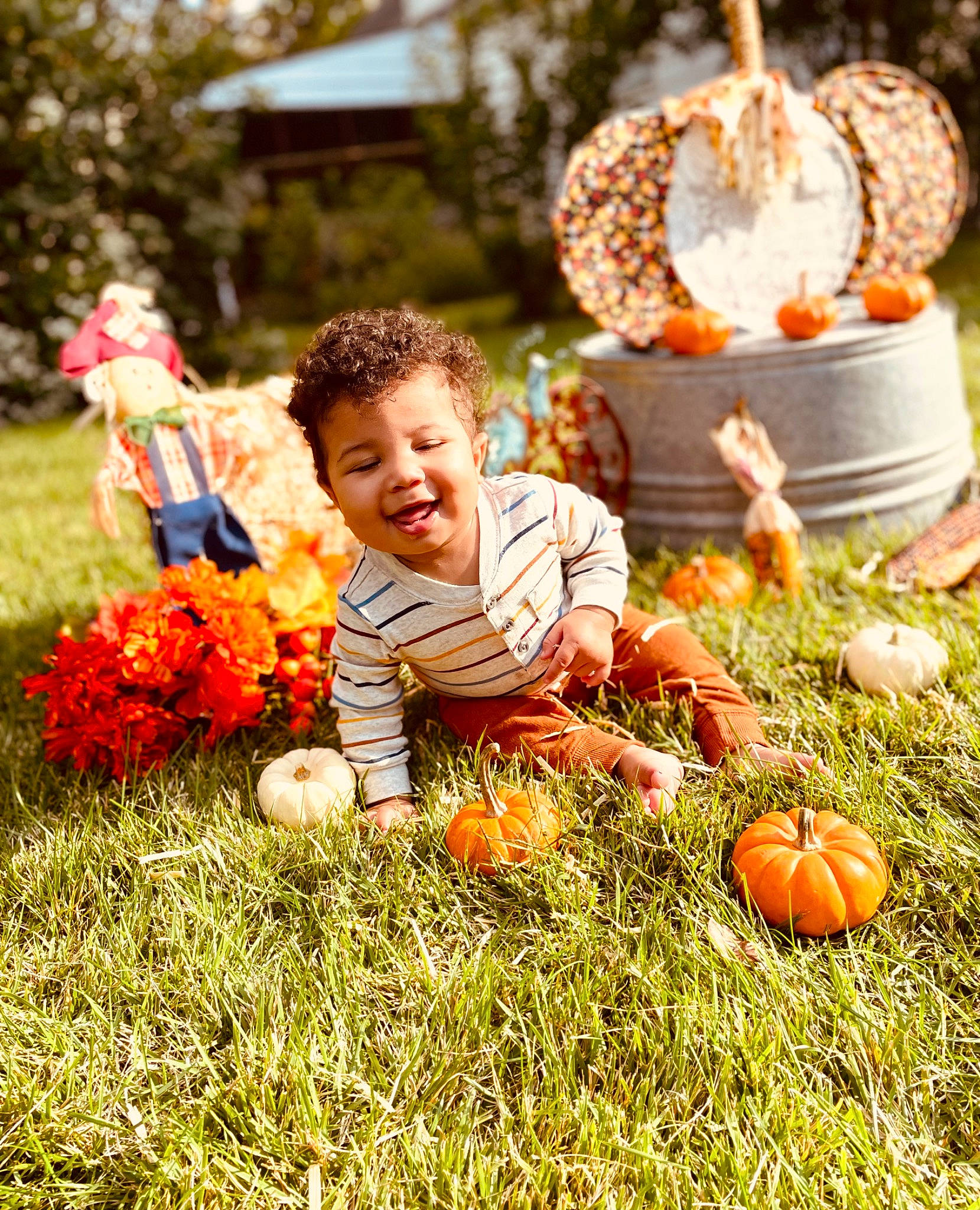 Corbyn joined the competition — help win amazing prizes! calabaza, cucurbita, face, flower, gourd, grass, happy, jeans, natural_foods, orange, people_in_nature, person, plant, pumpkin, smile, squash, toddler, tree, vegetable, whole_food